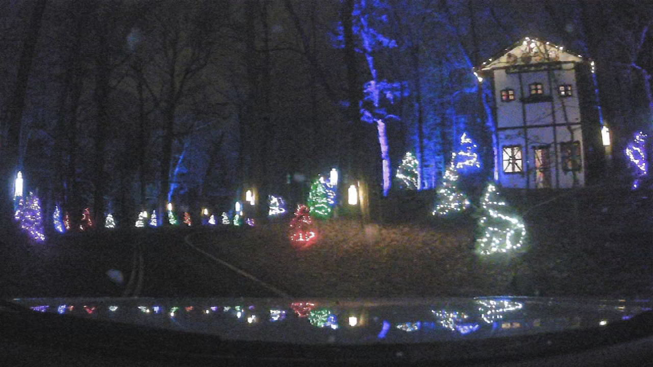 The Winter Woods Spectacular